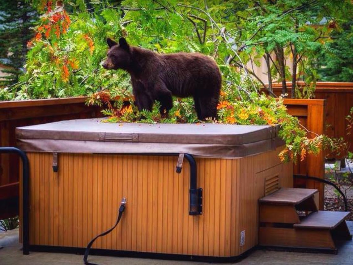 Spa Cover Photo Gallery Florida Spa Covers